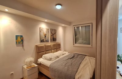 Rental of a cozy 2-room apartment, 50 m², Voždovac district, Belgrade, Serbia
